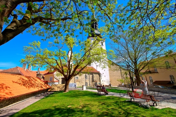 Tallinn Old Town